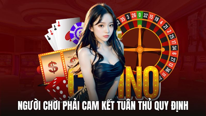 Người chơi phải tuân thủ quy định do 33WIN đặt ra